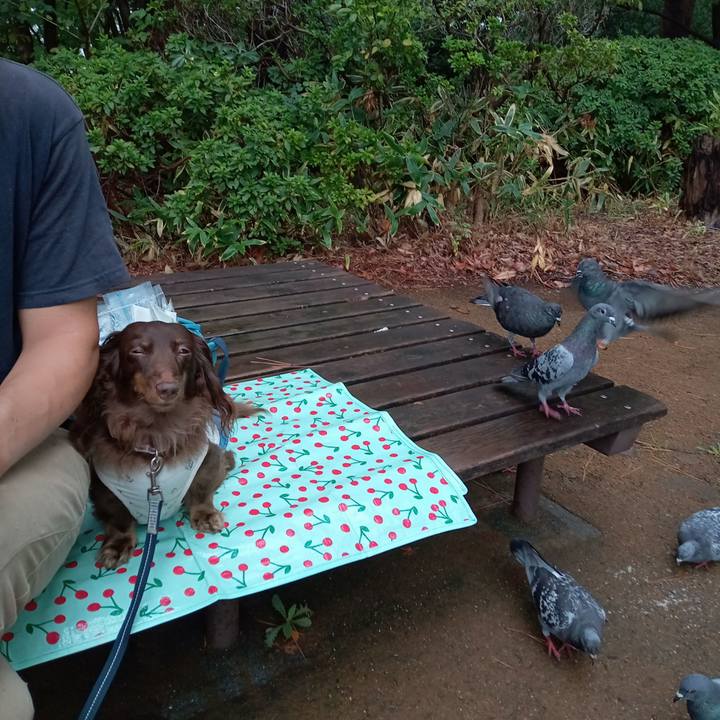 B9bfc114 7727 4ad7 b4b4 fb91898739b1 1757803826394