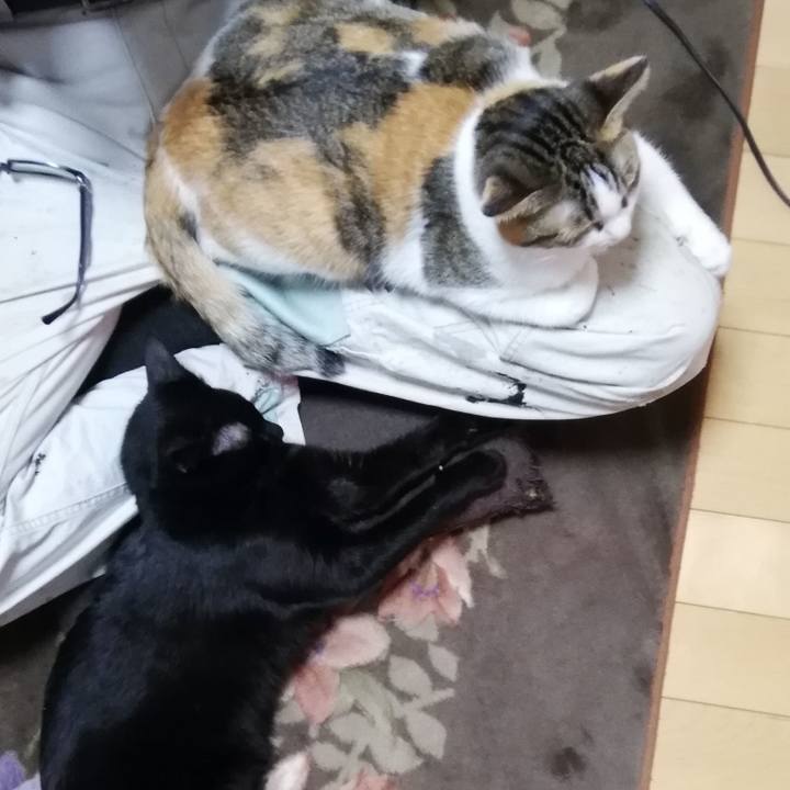 B9bfc5fd 40ab 4504 b2b1 3f45d2617665 1607641723167