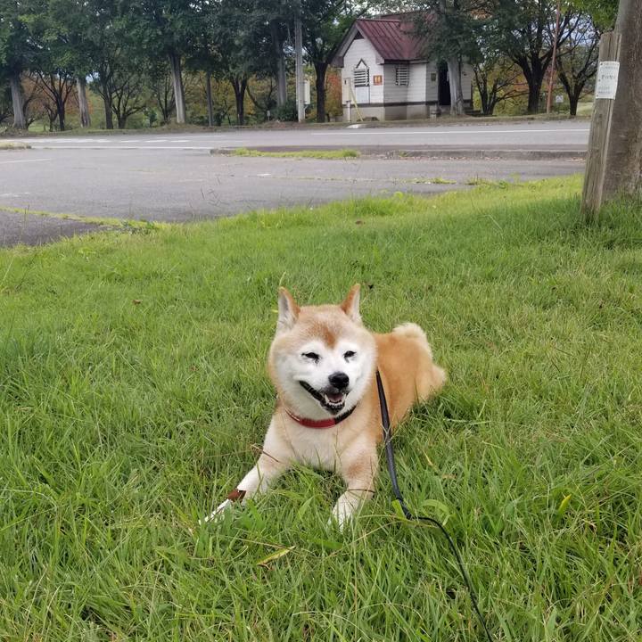 B9bfc6ef e8b3 4101 92aa 8f9e9f452b02 1727591489996