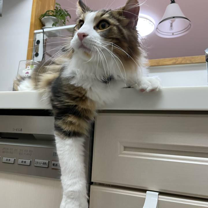 B9c02c13 3f95 4a46 a892 240ecb4317e5 1640118177023