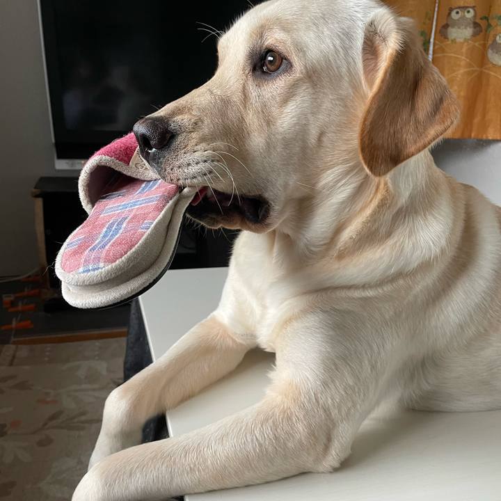 B9c03989 cdac 4746 9bce 58c51e16671d 1641343616140