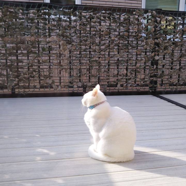 B9c061cc ea35 4b3f b992 36086ac2c8f7 1615335398765