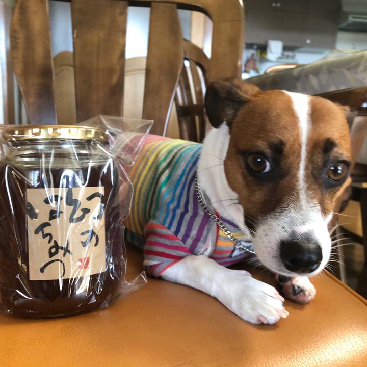 B9c069de 91ad 42ae 9ba8 324820838466 1569628966616