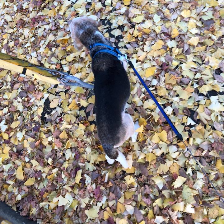 B9c0766f 3427 4b64 a7a7 4f2fc65bdaec 1606046151433