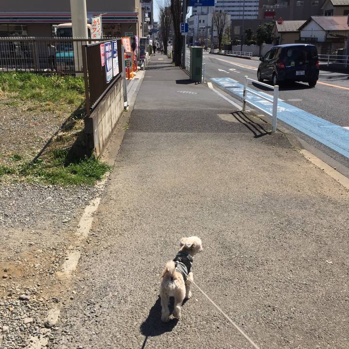 B9c09268 aece 4c89 b26a 3427352895c0 1553418818056