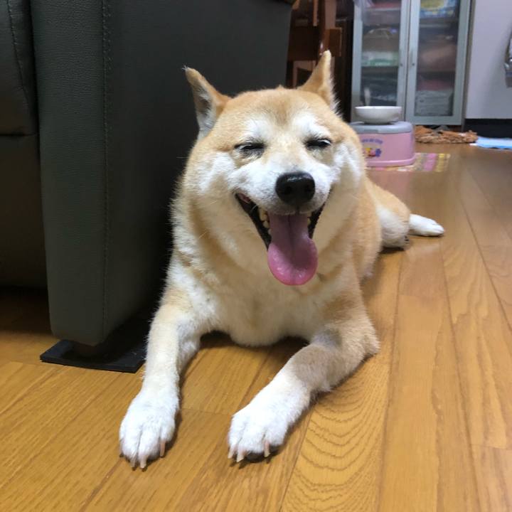 B9c0c0ec 0ecc 4650 bec5 50e5946fe225 1561643284350