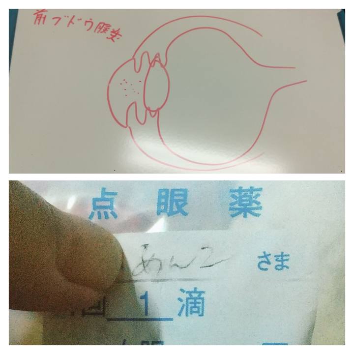 B9c0ce15 1d80 4aab 871e 7dea93938d2b 1659946344594