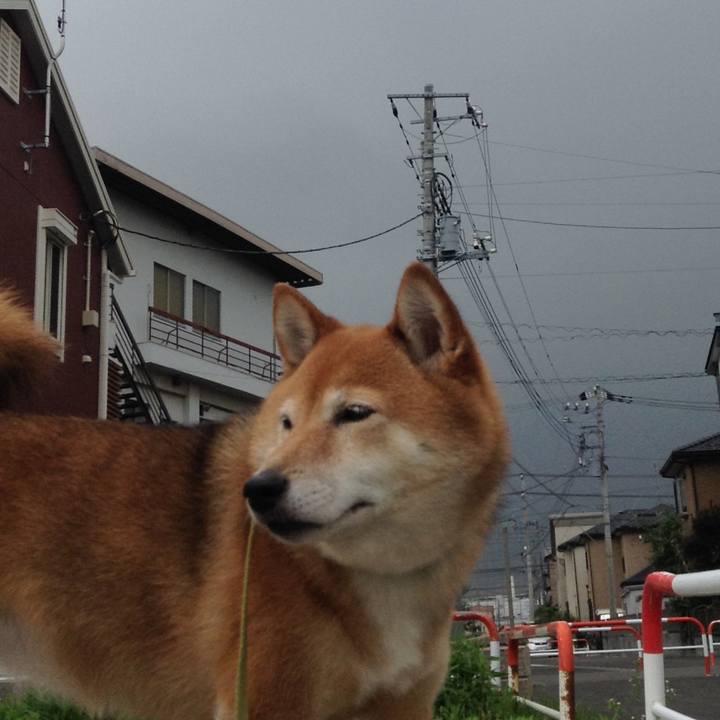 B9c0e6da 3933 4153 bba3 53860db71989 1562145024661