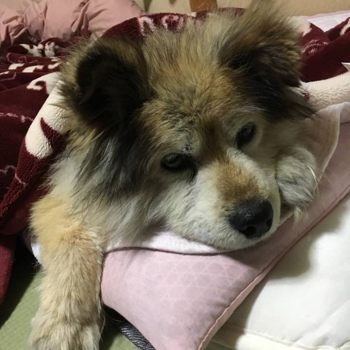 B9c1170a 597f 43fb 8d51 0b4420acd941 1665681875459