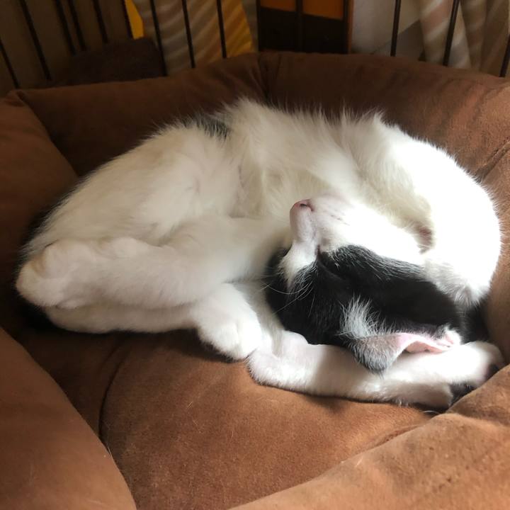 B9c1300b be19 4eef a4aa 328b9e80eed1 1613130922225