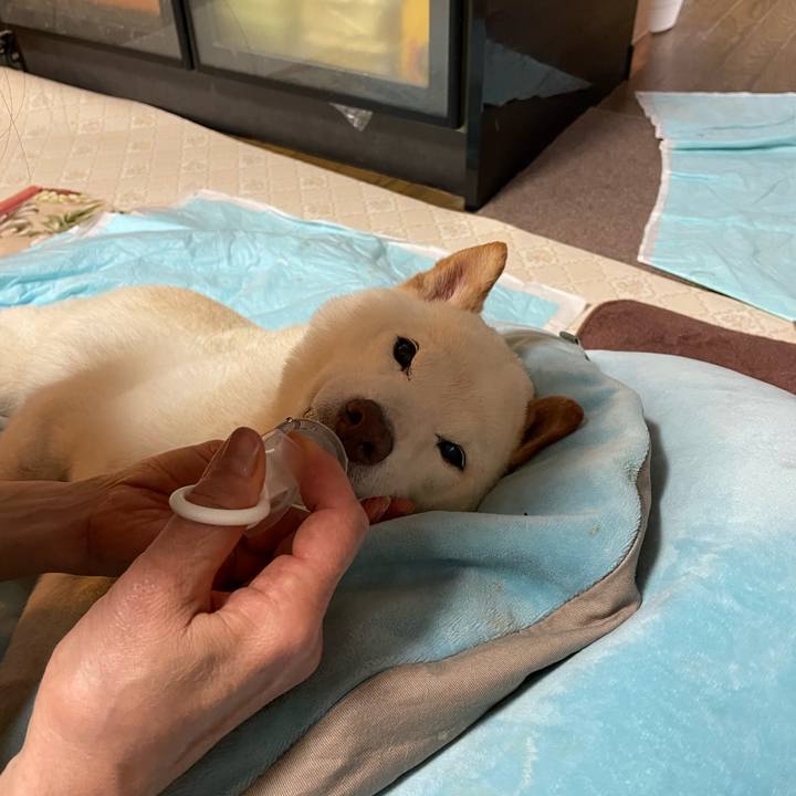 B9c15bc9 1947 42cf 9bca f4594ffd49e9 1658397957441