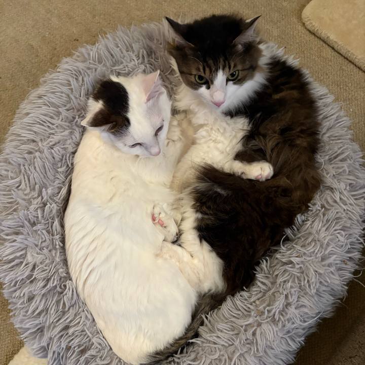 B9c1770e 7c2d 4ed9 884d 334d253e4d7d 1770686372412