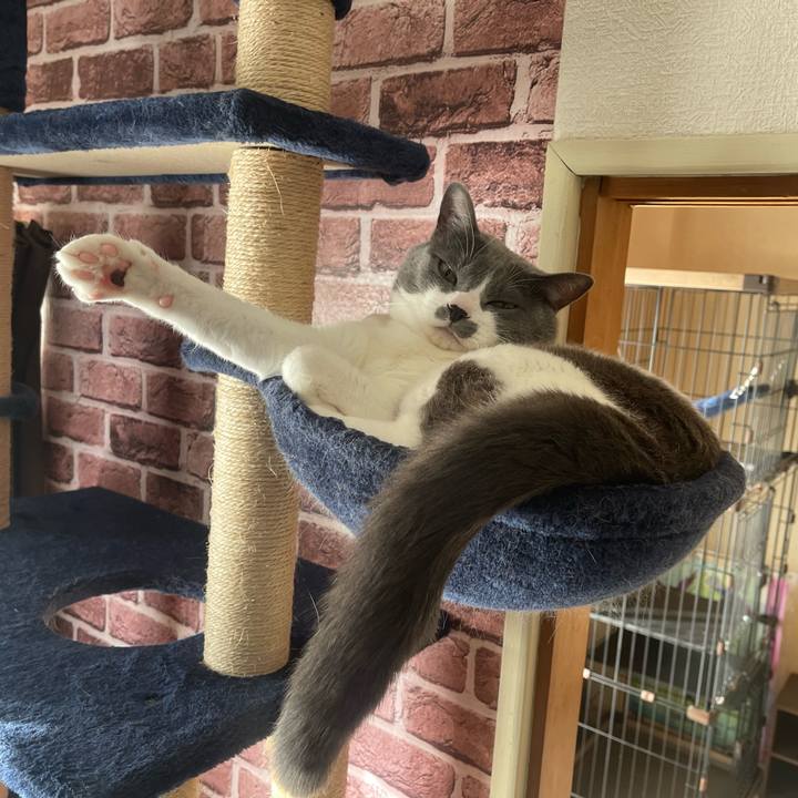 B9c1844d cc65 4222 90cc 3edd1b700b9e 1671320687616