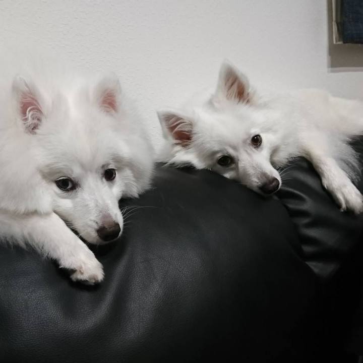 B9c1db7d cf85 4b37 bdf8 a3fd61a25df4 1560351202607