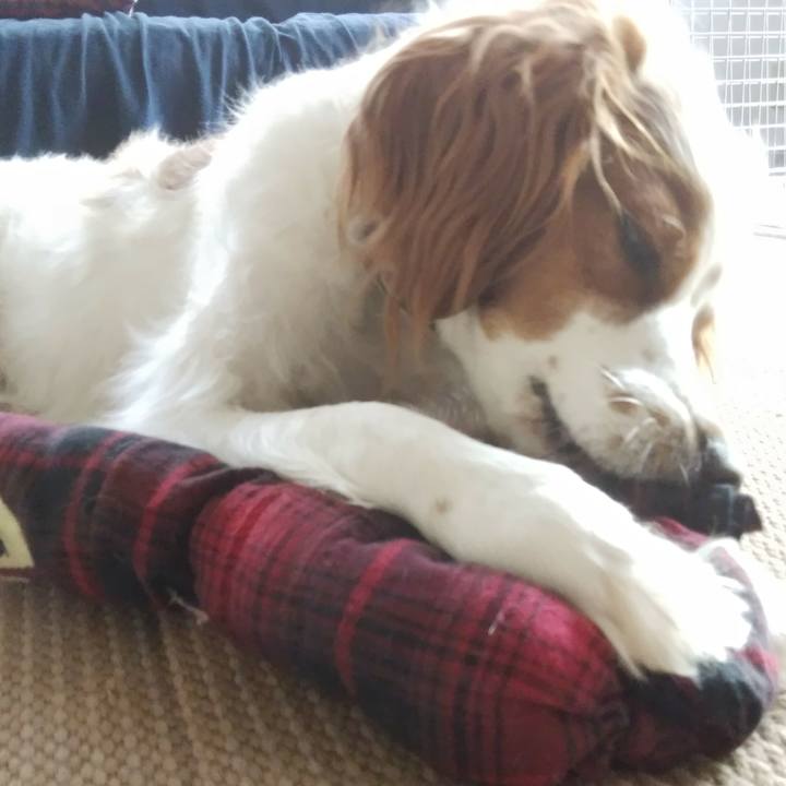 B9c21c6c b13d 40da 8ff3 86423ebf22ba 1532476222649