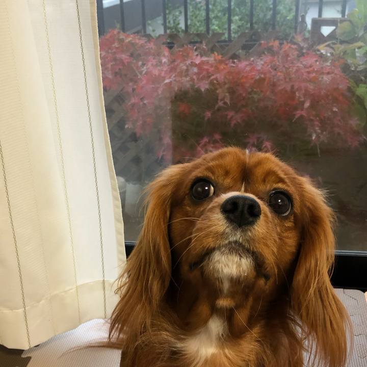 B9c22e76 d141 4aba 9917 8e8df1b53a9f 1544134369314