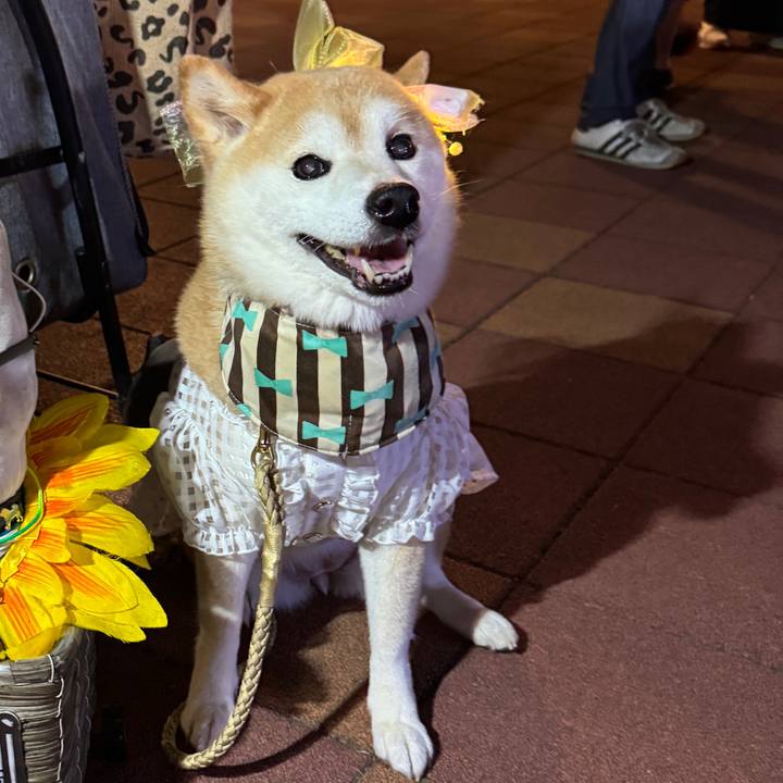 B9c27b2b 6d92 4a89 8e02 a61a778cc013 1756049241558