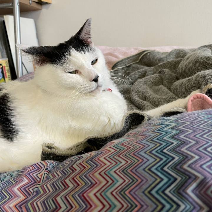 B9c35e68 63f1 40a0 a530 bf3cbdefdd5a 1638833579088