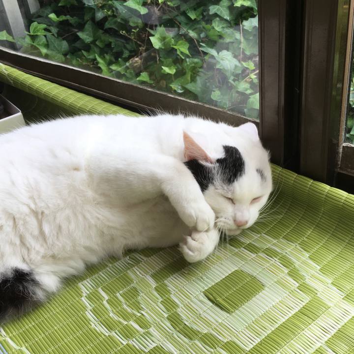 B9c39aa5 4564 479d 961b 98c932757490 1600933448922