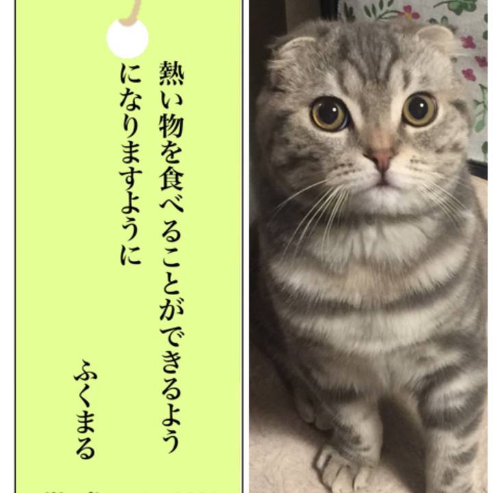 B9c3b46c 0fa3 4954 9e0d 75f177041644 1594105499920