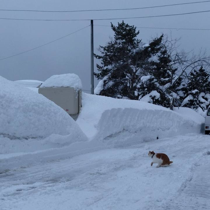 B9c3dacd ca0a 4a96 b9ab 231f7bd73d0a 1769671256219