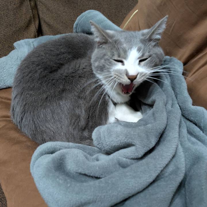 B9c3ead4 a570 401d aee3 897a72d5d9c6 1739425246900