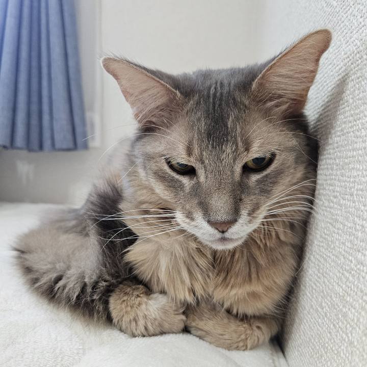 B9c3fb0d 28a4 4d2e a937 c4682ce871c7 1737941922281