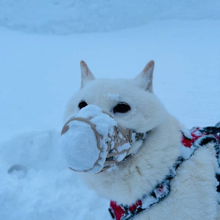 B9c3ffa5 701d 433d bfaa 1c58cdbd985d 1705359970077