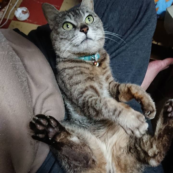 B9c4191a 7435 4e3b af7f 5c40533efaf0 1560551655604