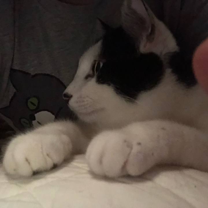 B9c452d2 dc80 401a bf4f e9c4ac155225 1558963762376