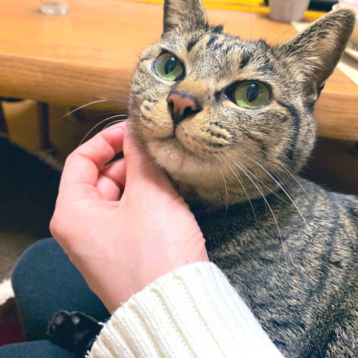 B9c4b3c2 7f14 4958 a4b8 0bd70d373812 1582774038312