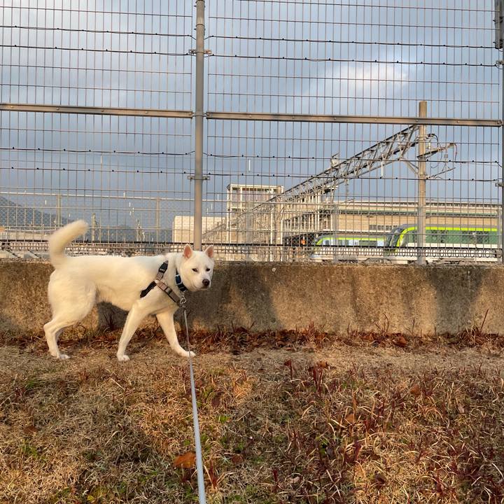 B9c4dc7a 65f6 4bcf 8fdf 66f96460bf61 1643156287419