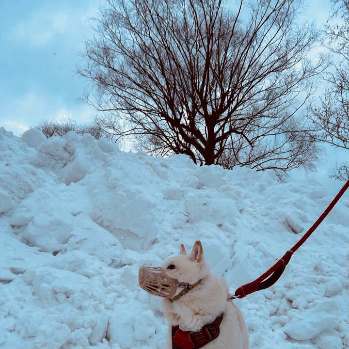 B9c4fb7f cc80 4f56 b901 154f37bcfe70 1768602163329