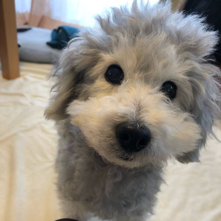 B9c536d1 e455 4549 a347 fcc255e444ab 1550805779985