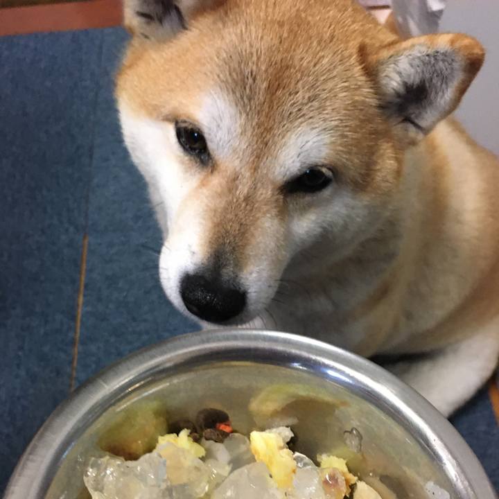 B9c53c4a 57c8 4b0f 9c6d da8cf20cf311 1583926582285