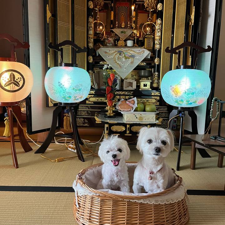 B9c59249 67d6 4e12 9db7 55d8e4484feb 1723617349884