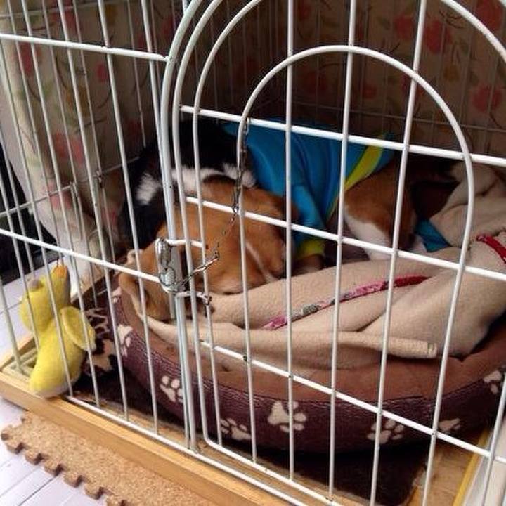 B9c596f4 2e9d 4fb3 abb9 ea151cf818be 1736296718585