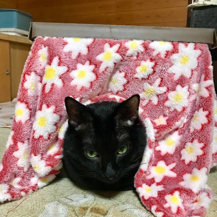 B9c5d04a 7756 4270 842b 3537b7929d6c 1544667748646