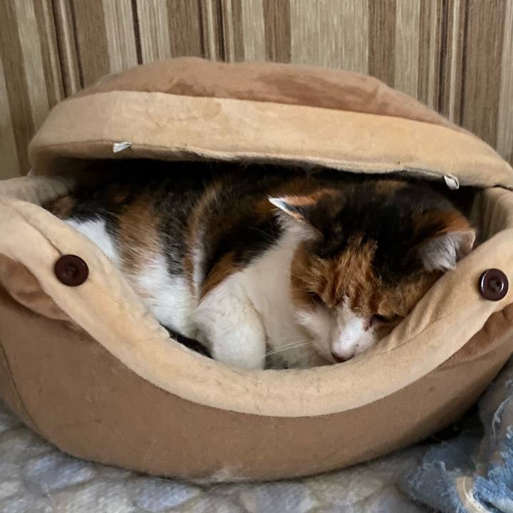 B9c5e0cc 88b9 4593 926c 869d3d212d64 1609286543690