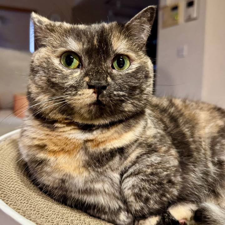 B9c60a25 7257 47d4 ada7 1988441eea63 1759062329764