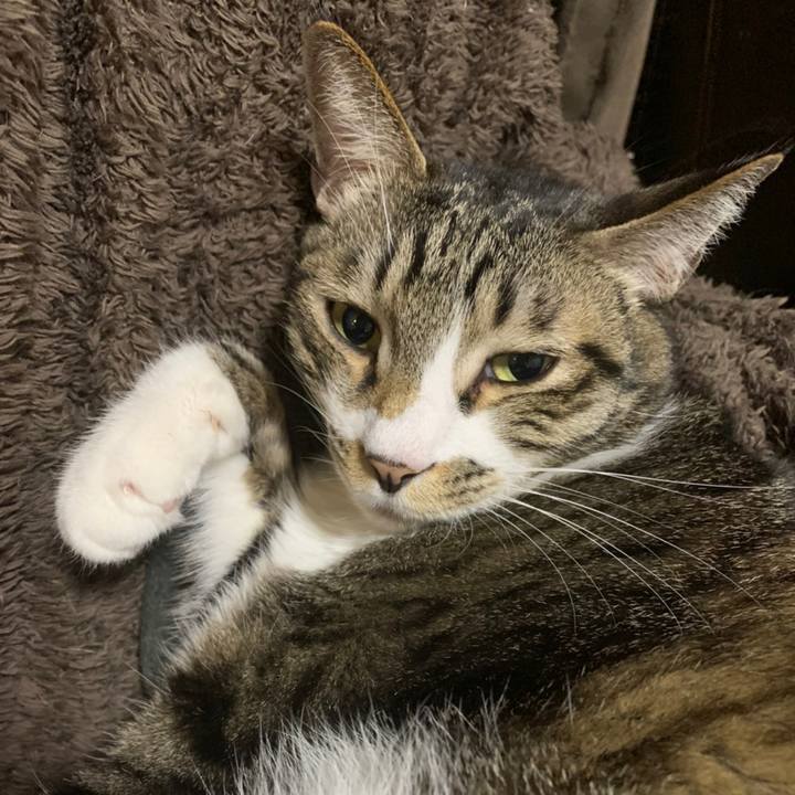 B9c64354 076a 4f2c 83ab b29444da8af7 1581075366196