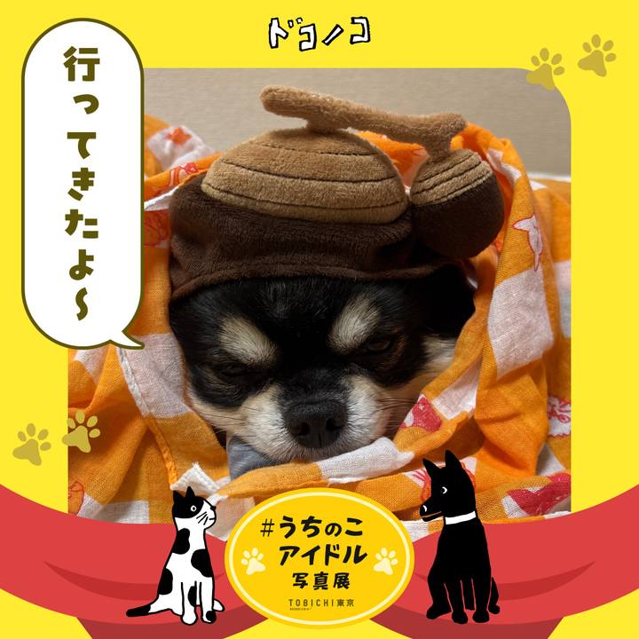 B9c653d0 4bd4 4c22 9750 2462039a5242 1761269030073