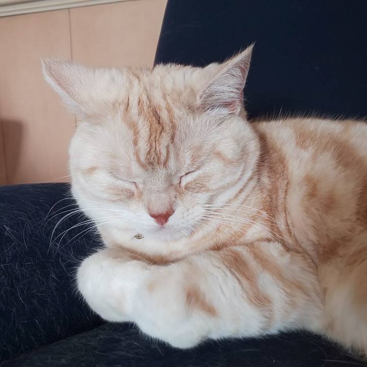 B9c65c34 c814 4add 9174 be937fe91ad7 1557644695305