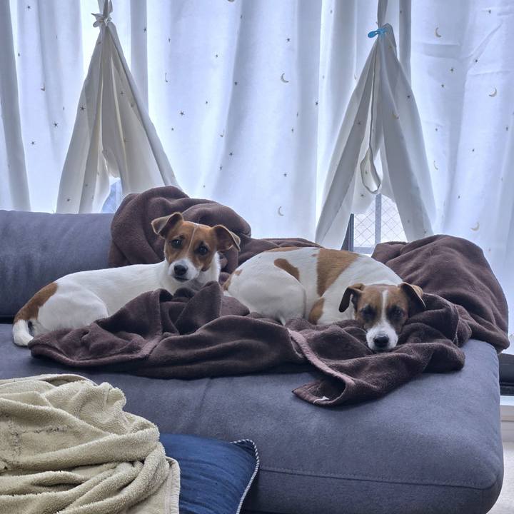 B9c6b946 9439 4ac4 8c2a 80ac612c99c4 1768966508032