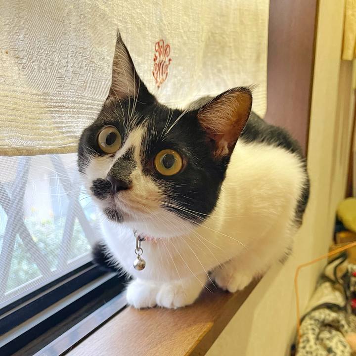 B9c6bc9c 340d 4bd7 93d4 9d7f842ba936 1759445489373