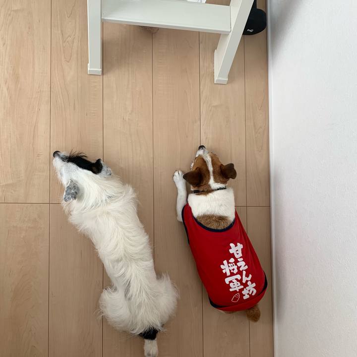 B9c6f8cb a30c 4a01 a9dc 6936570e83c2 1625966747307