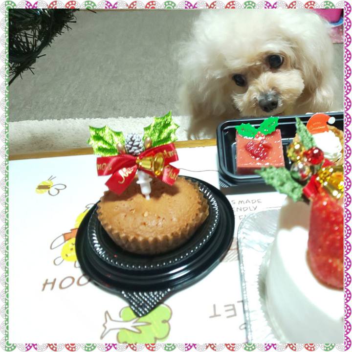 B9c6fb86 7bc9 4c83 8a9c 26f6bee32e42 1735367105717