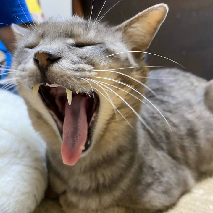 B9c70e01 25da 4e5e a488 f05ce2f00bba 1592317152147