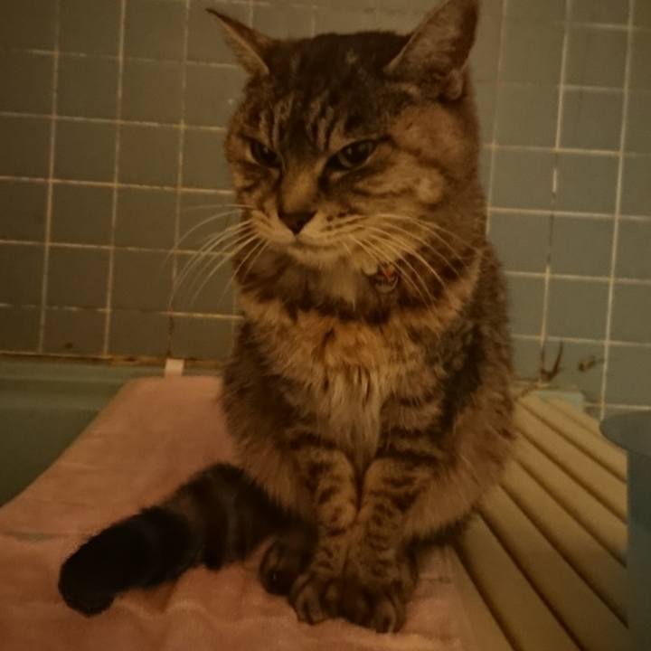 B9c70ec5 df6f 4fa7 a484 7704a38755d9 1579599373306