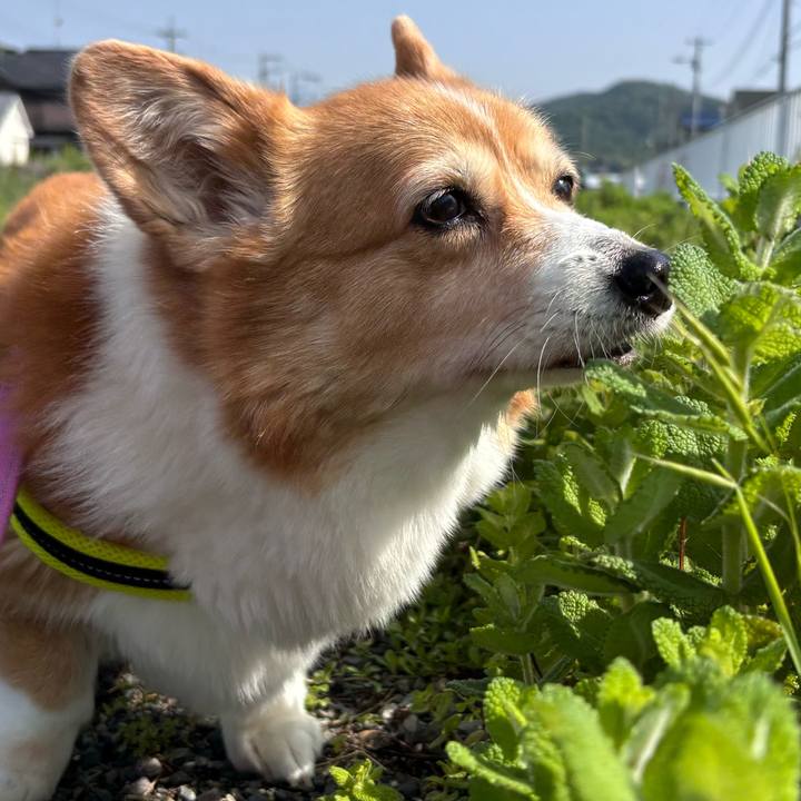 B9c71dc6 20b2 4279 bbe2 2dc87da14d36 1747700379643